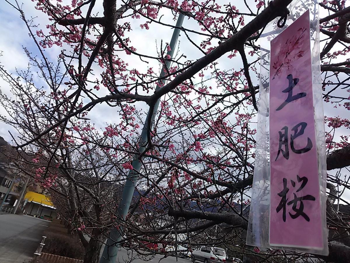 고이비토 미사키 펜션 마린 메이츠 이즈 외부 사진